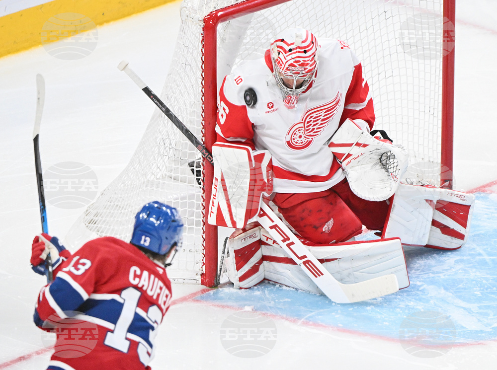 Red Wings Canadiens Hockey