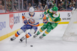 Islanders Wild Hockey