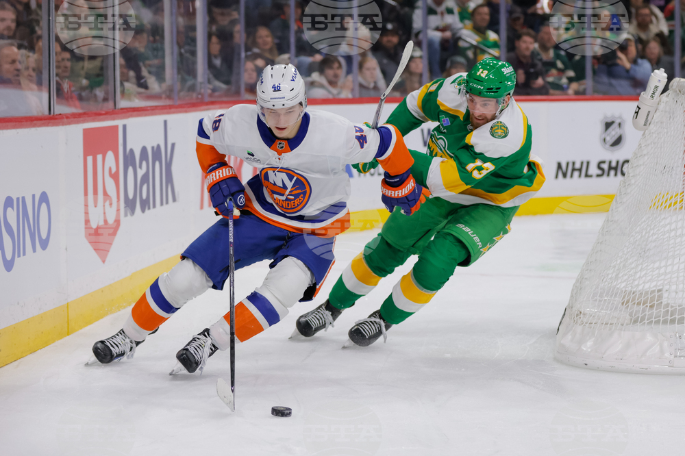Islanders Wild Hockey