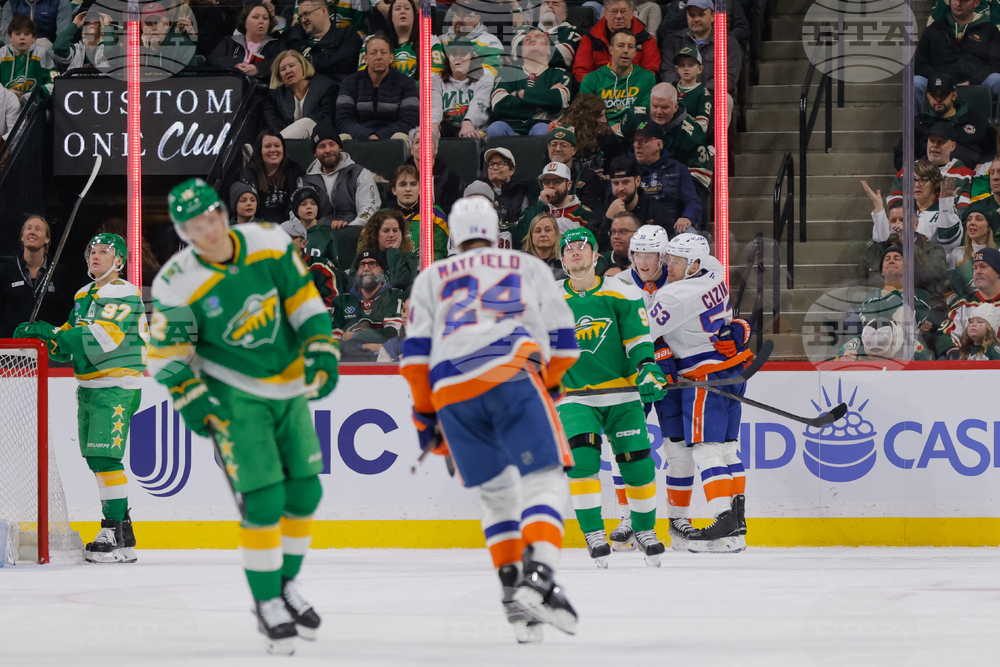Islanders Wild Hockey