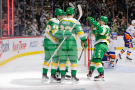 Islanders Wild Hockey