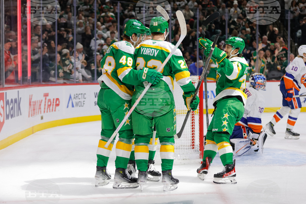 Islanders Wild Hockey