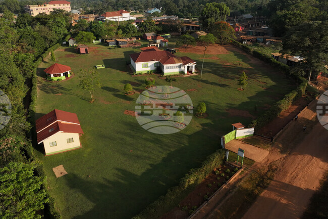 Kenya Widows Inheritance Rights