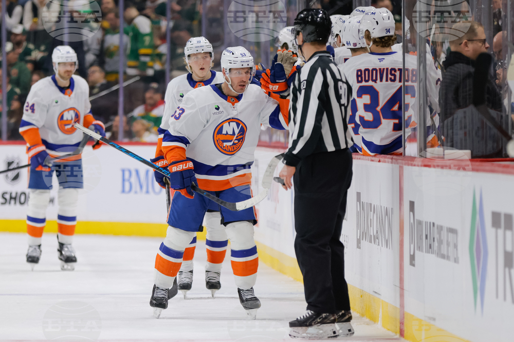 Islanders Wild Hockey