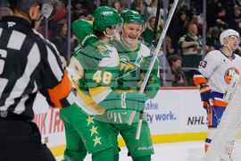 Islanders Wild Hockey