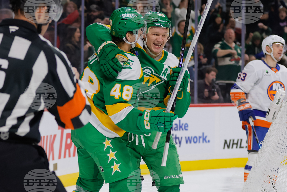 Islanders Wild Hockey