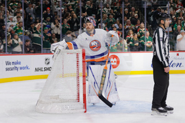Islanders Wild Hockey