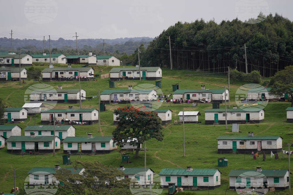 Kenya Widows Inheritance Rights