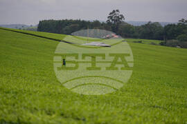 Kenya Widows Inheritance Rights