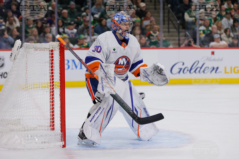 Islanders Wild Hockey