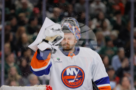 Islanders Wild Hockey