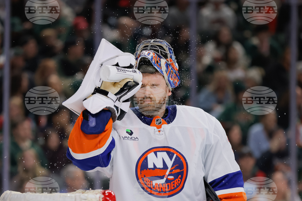 Islanders Wild Hockey