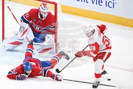 Red Wings Canadiens Hockey
