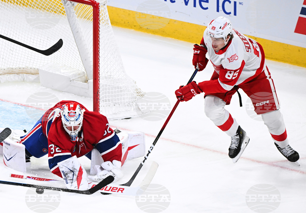 Red Wings Canadiens Hockey