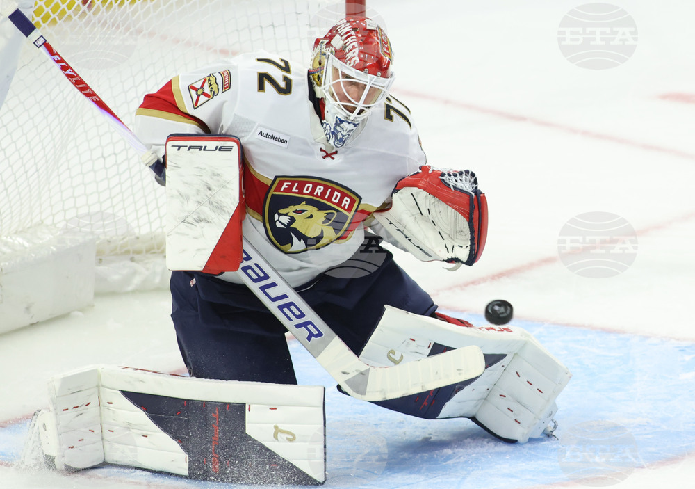 Panthers Senators Hockey