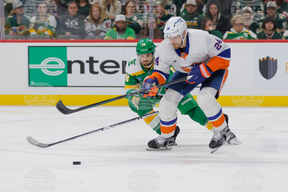 Islanders Wild Hockey