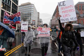Immigration Enforcement Minnesota