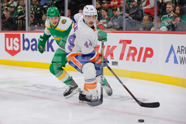 Islanders Wild Hockey