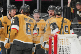 Blues Golden Knights Hockey