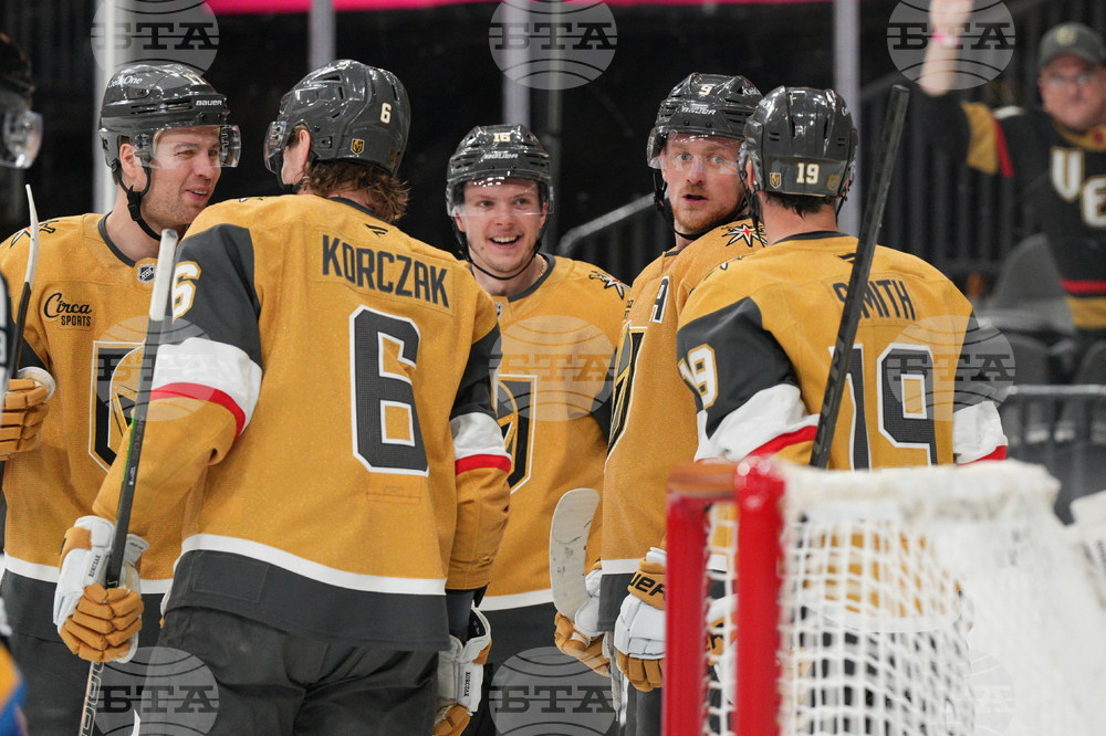 Blues Golden Knights Hockey