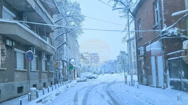 Пътищата в Русенско са проходими при зимни условия, има проблеми с електрозахранването в две населени места 