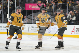 Blues Golden Knights Hockey