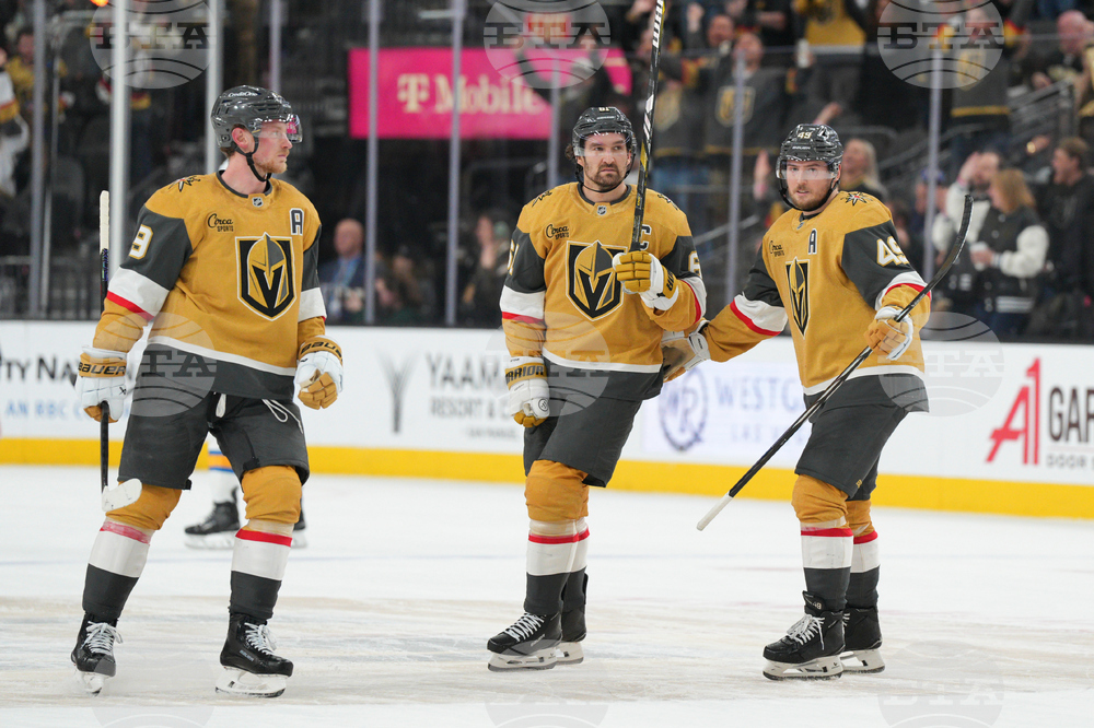 Blues Golden Knights Hockey