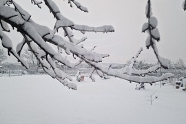 Разград - зима - обстановка