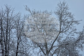 Разград - зима - обстановка