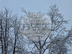 Разград - зима - обстановка