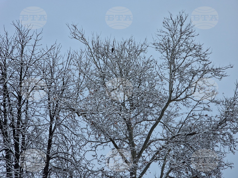 Разград - зима - обстановка