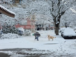 Разград - зима - обстановка