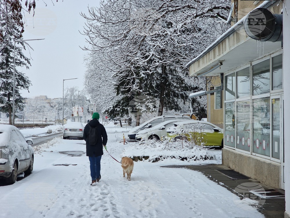 Разград - зима - обстановка