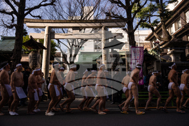 Japan New Year Festival