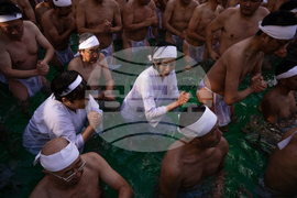 Japan New Year Festival