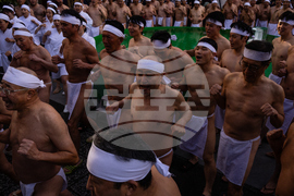 Japan New Year Festival