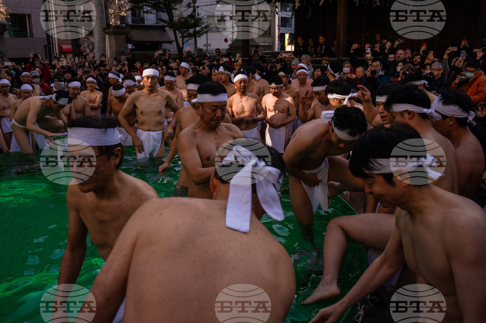 Japan New Year Festival