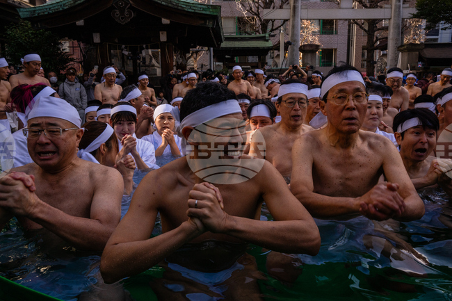 Japan New Year's Festival