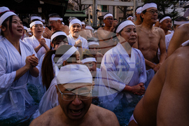 Japan New Year's Festival
