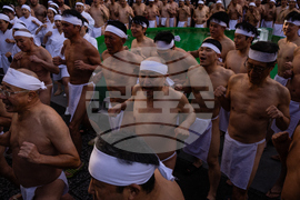 Japan New Year's Festival