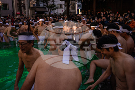 Japan New Year's Festival