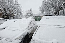 Плевен - зима - пътна обстановка