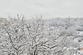 Плевен - зима - пътна обстановка