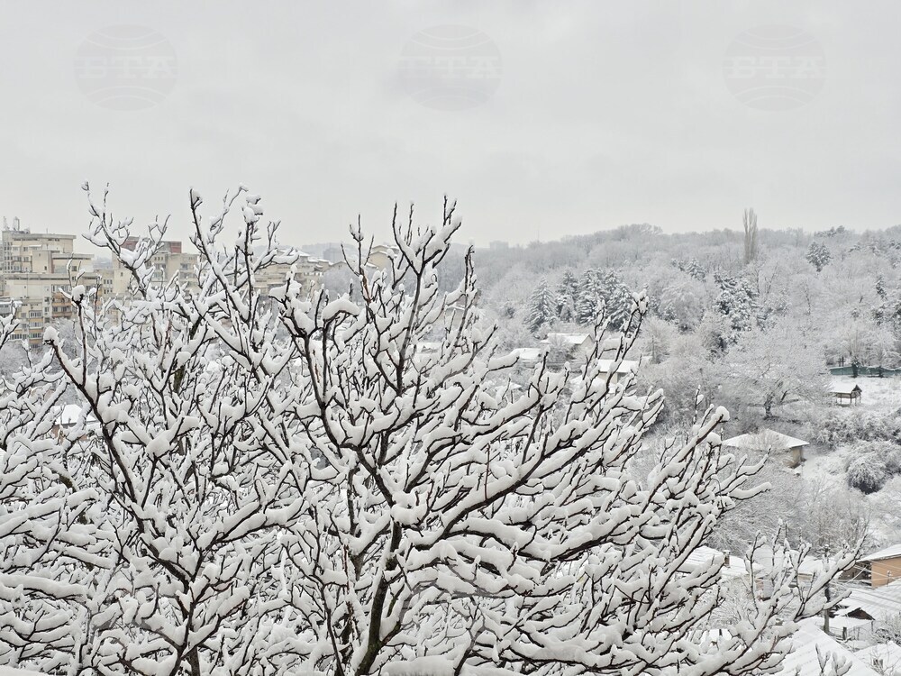 Плевен - зима - пътна обстановка