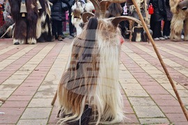 Село Главиница - кукери - празник