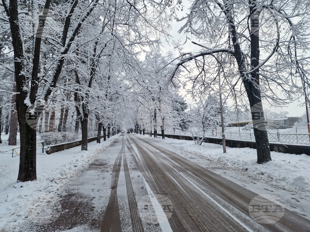 Разград - улици - сняг - почистване