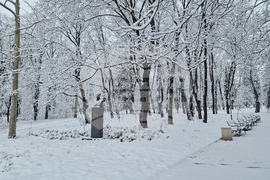 Разград - улици - сняг - почистване