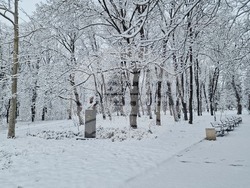 Разград - улици - сняг - почистване