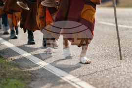 Buddhist Monks Peace Walk