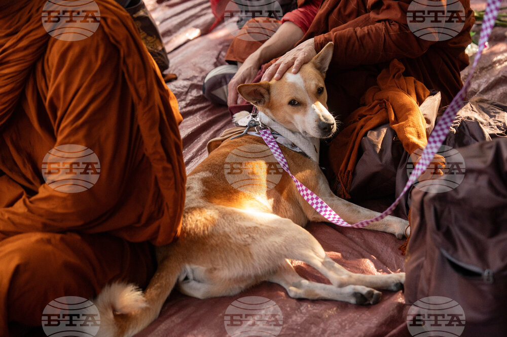 Buddhist Monks Peace Walk